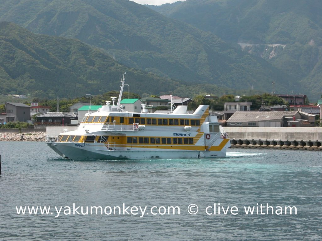 Yakushima jet foil Yakushima jet foil