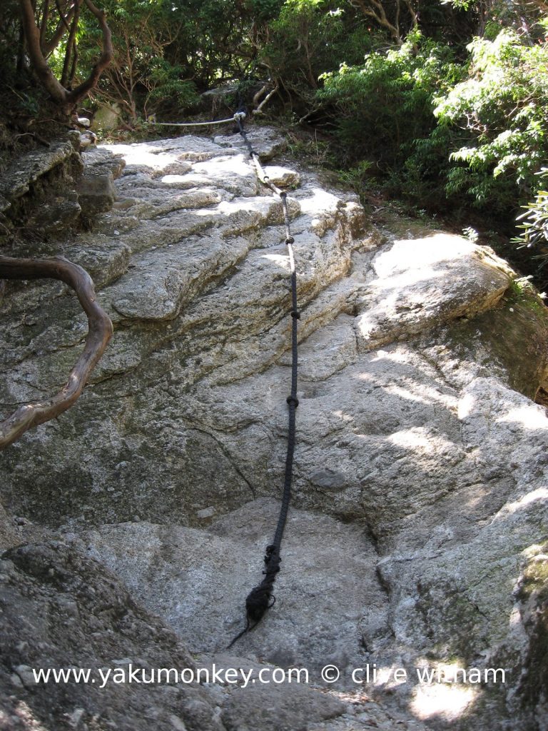 steep trail in Yakushima