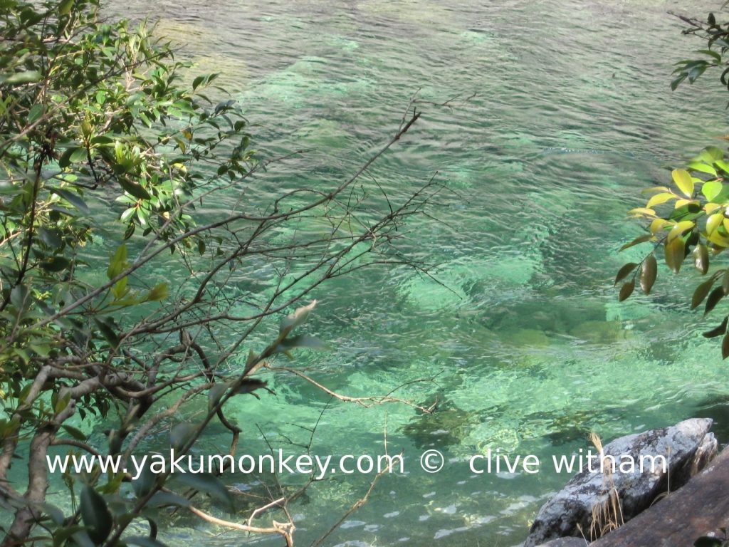 Nagata river, Yakushima