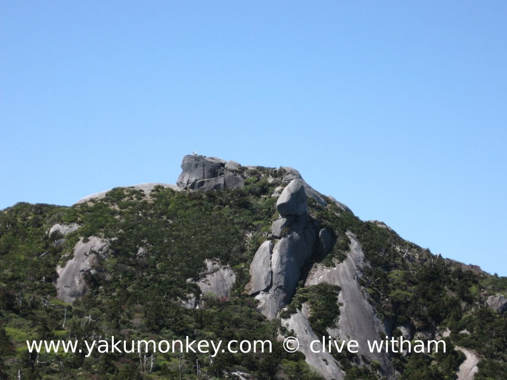 Kuromi dake, Yakushima