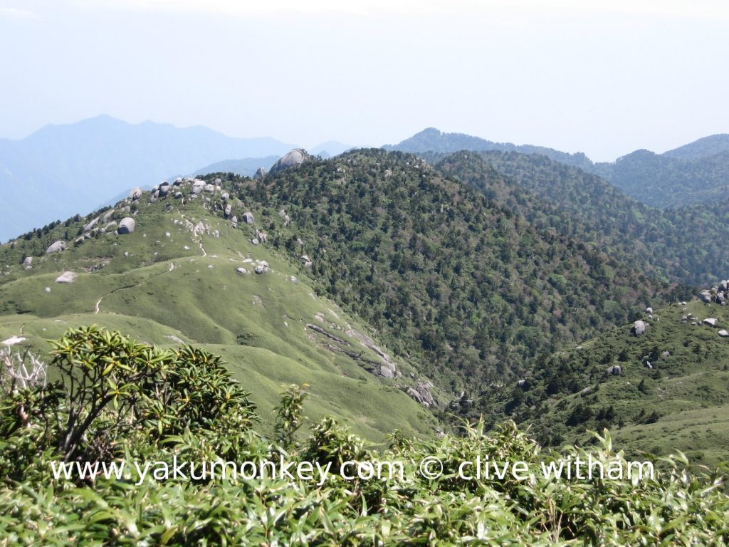 Okabu trail, Yakushima