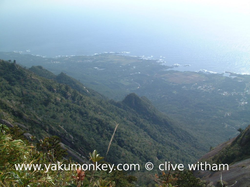 Mochomu trail views