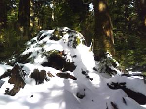Wilson Stump in the snow