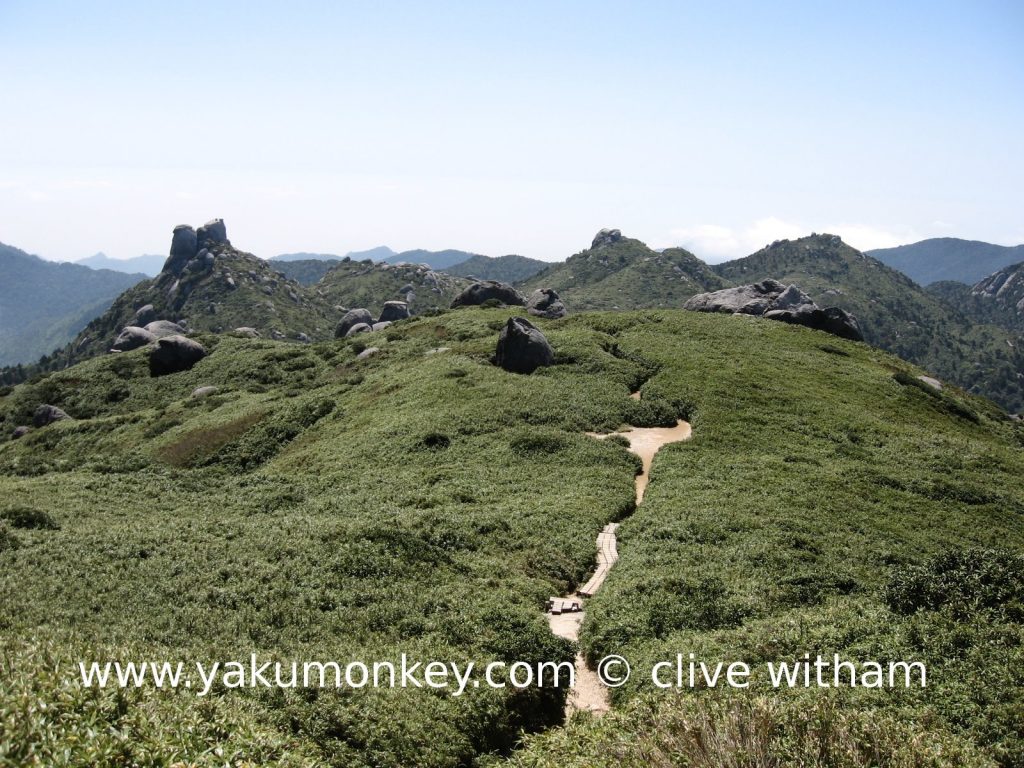 Trail to Miyanoura dake, Yakushima