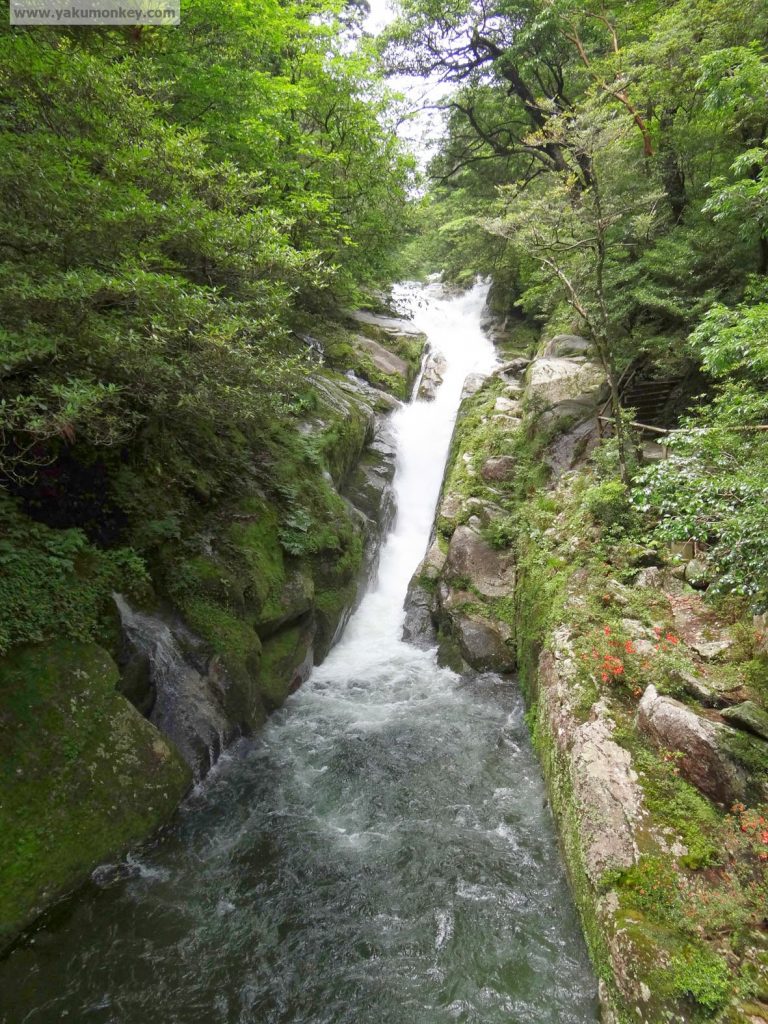 Hiryu Otoshi Waterfall, Yakushima