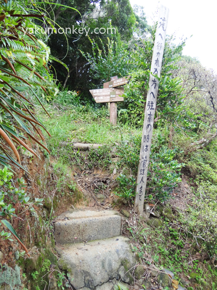 Onoaida trail entrance