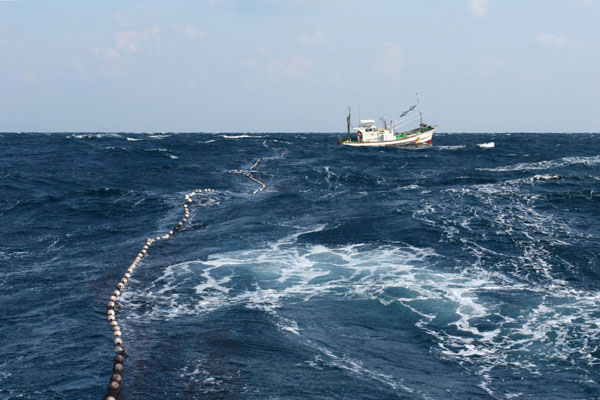 Flying fish boat Yakushima