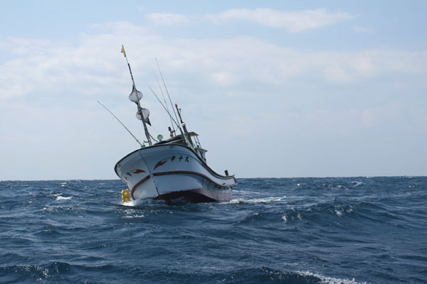 Flying fish boat Yakushima