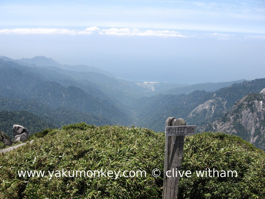 Nagata dake, Yakushima