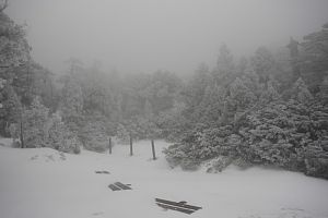 Hananoego Marsh snow