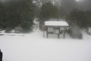 Snow at Yodogawa trail entrance