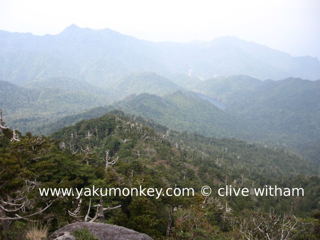 Tachu dake trail on Yakushima