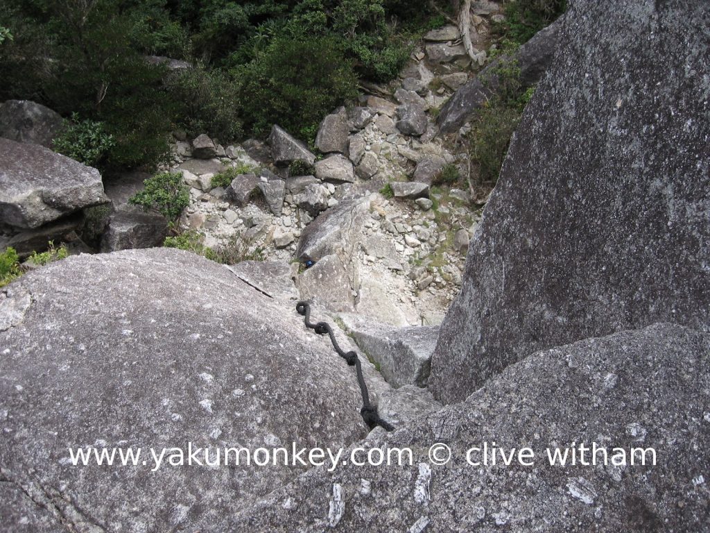 Tachu dake trail on Yakushima