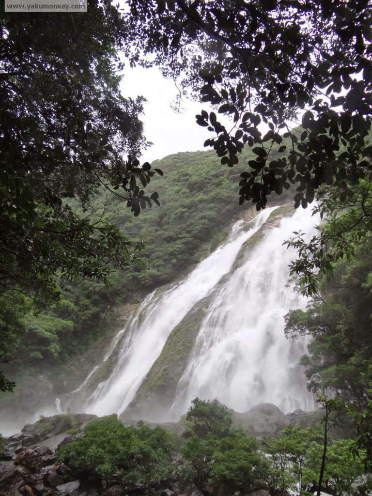 Oko-no-taki Waterfall, Yakushima
