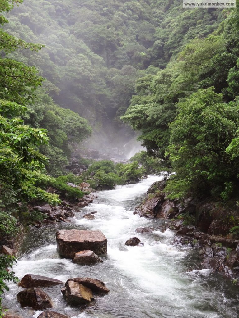 Oko river, Yakushima